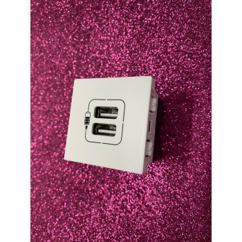 Modulo Entrada Usb Duplo - Pial Plus + Branco